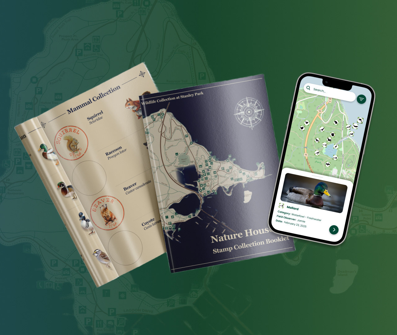 Stanley Park interaction design project