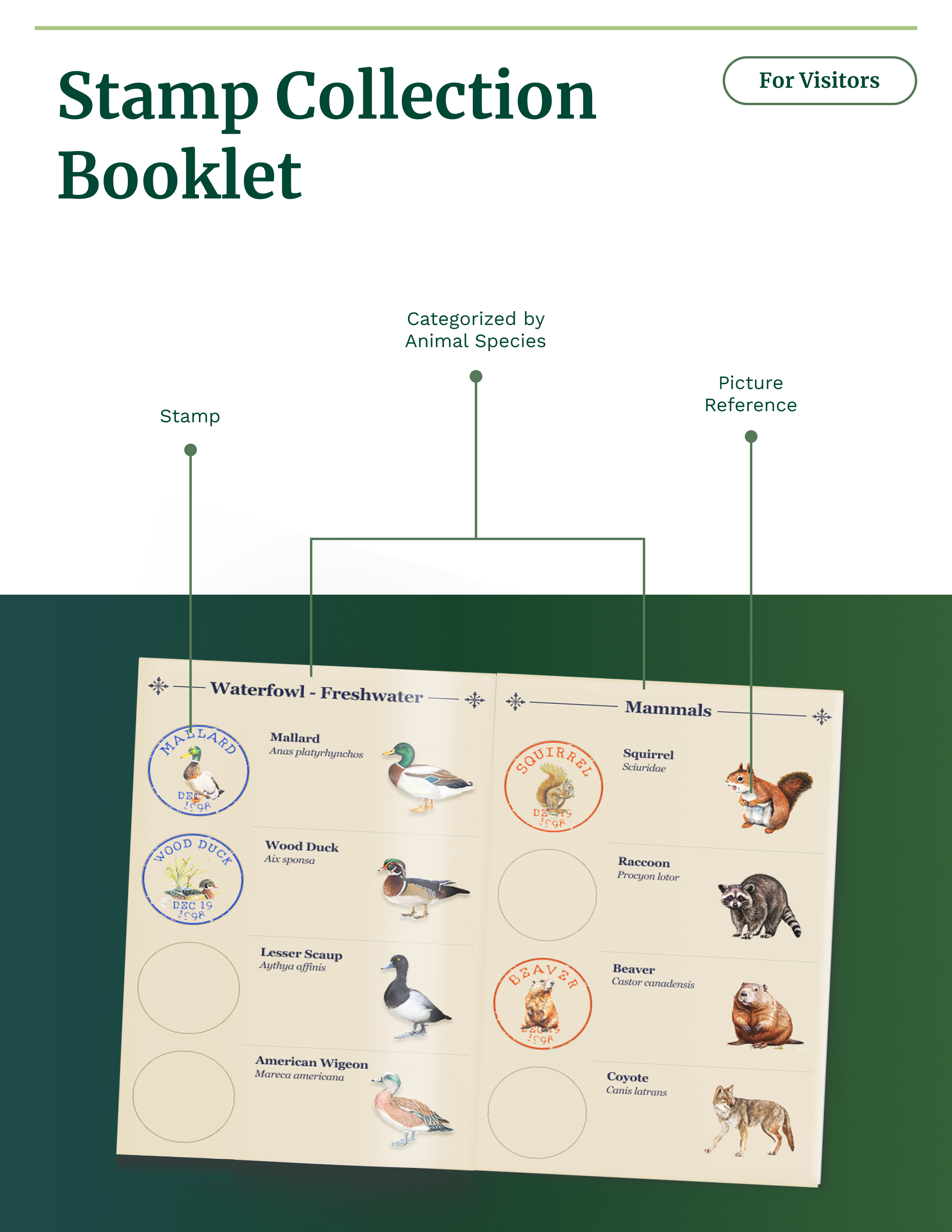 Stamp collection booklet with annotation
